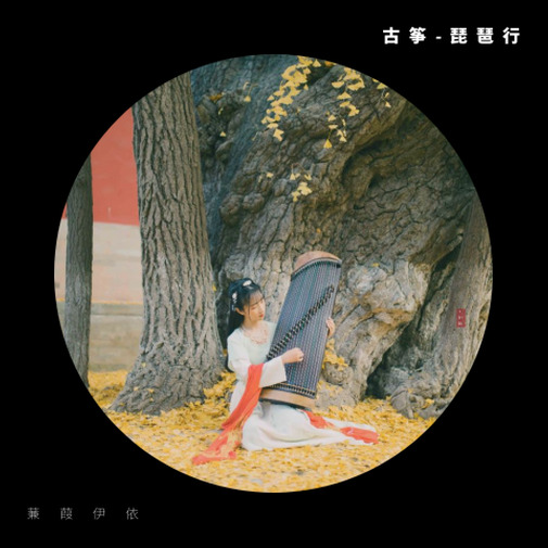 琵琶行封面