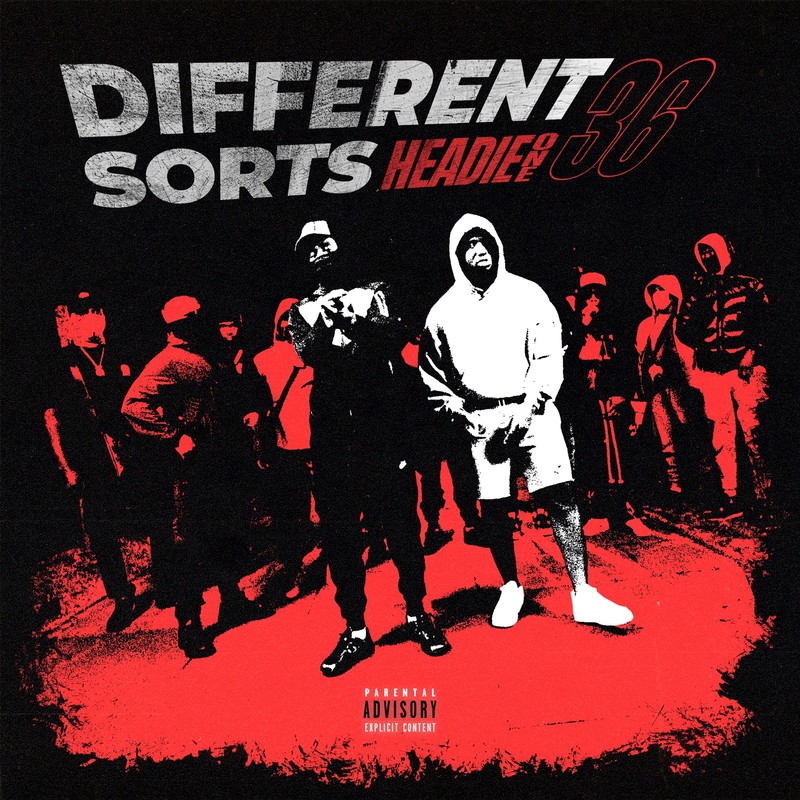 DifferentSorts封面