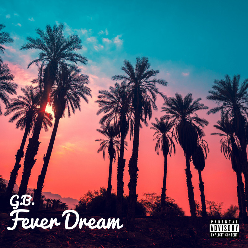 FeverDream封面