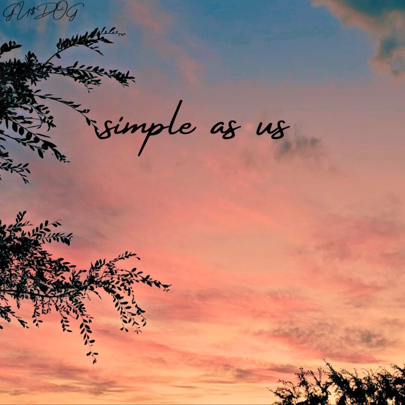 simpleasus封面