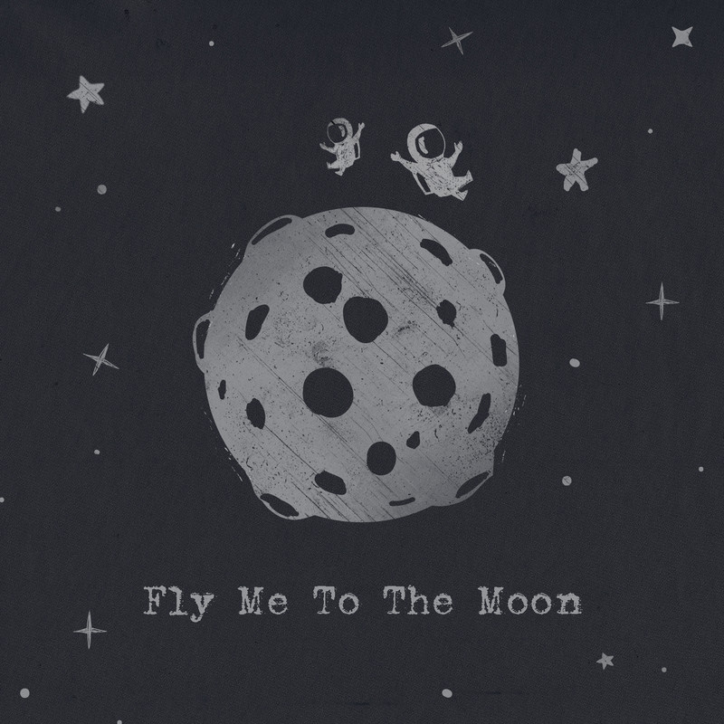FlyMetotheMoon封面