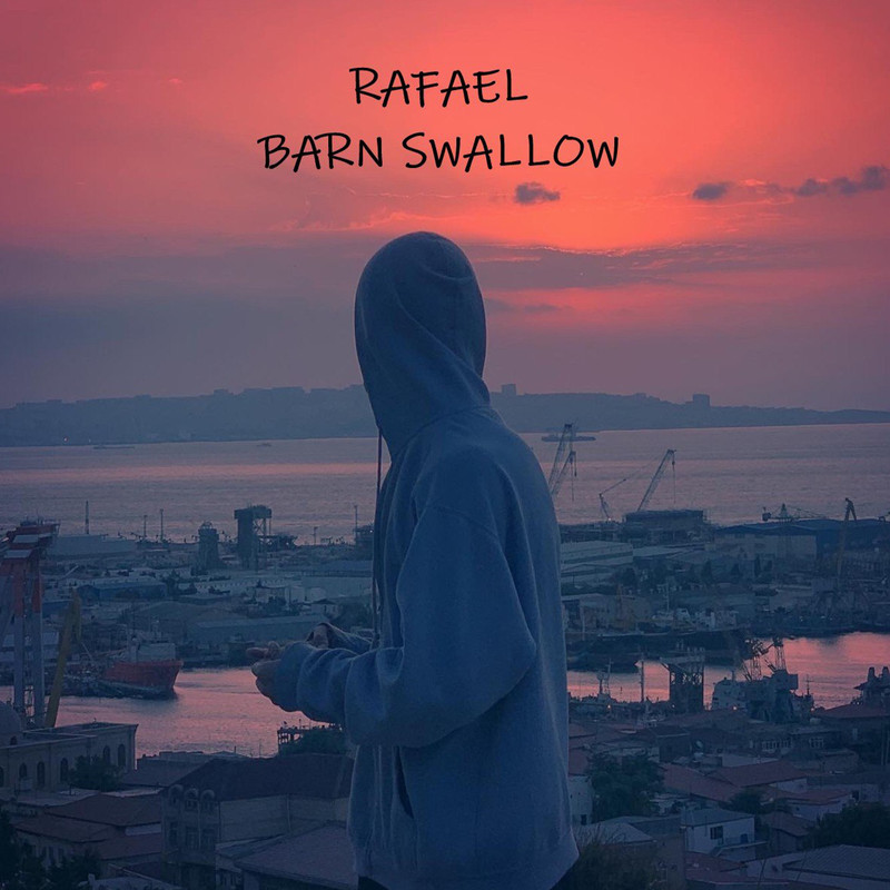 BarnSwallow封面