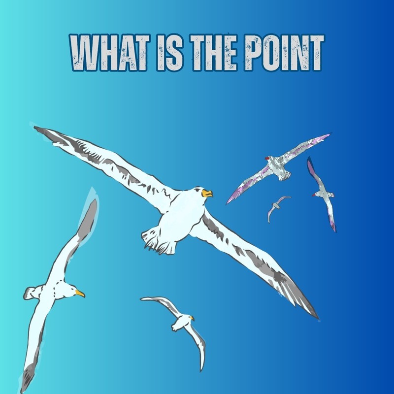 WHATISTHEPOINT封面