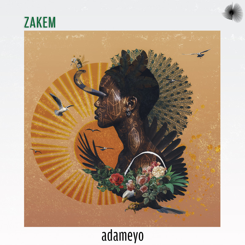 Adameyo封面