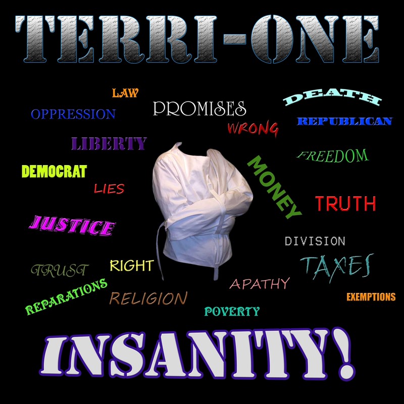 Insanity封面
