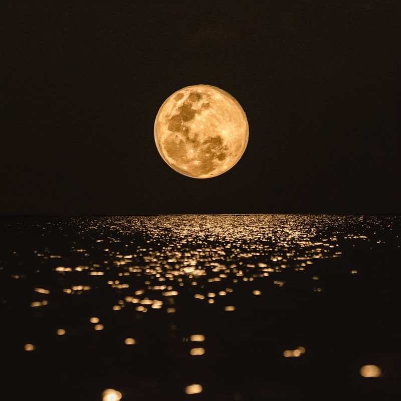 明月颂封面
