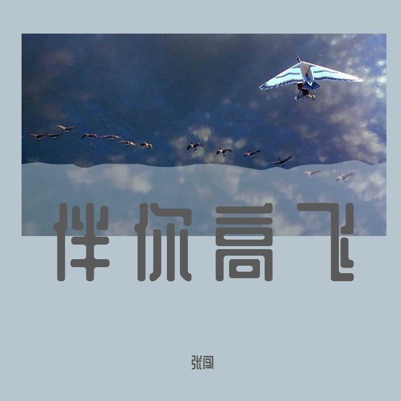 伴你高飞封面