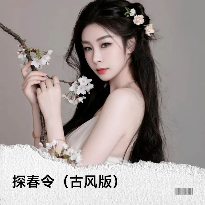 探春令封面