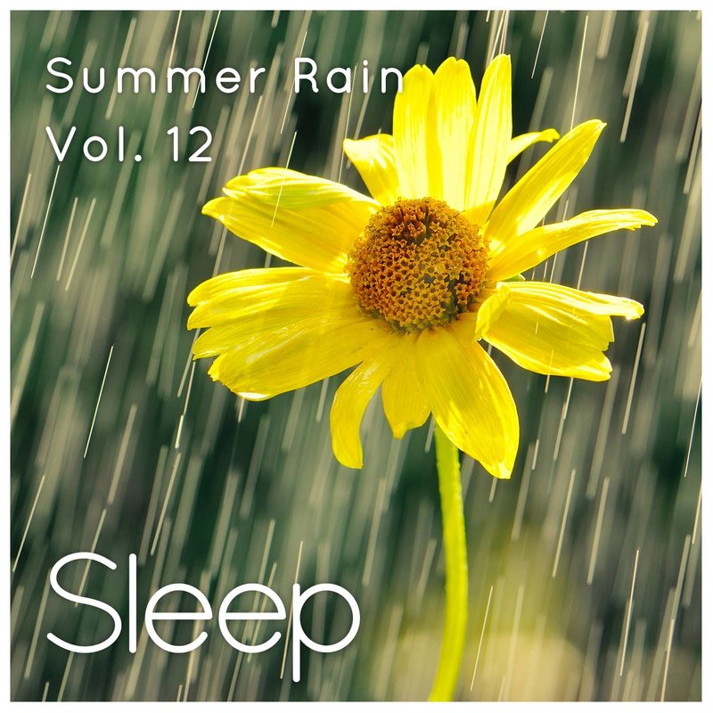 SummerRainSleepRelaxationSounds,Pt.57封面