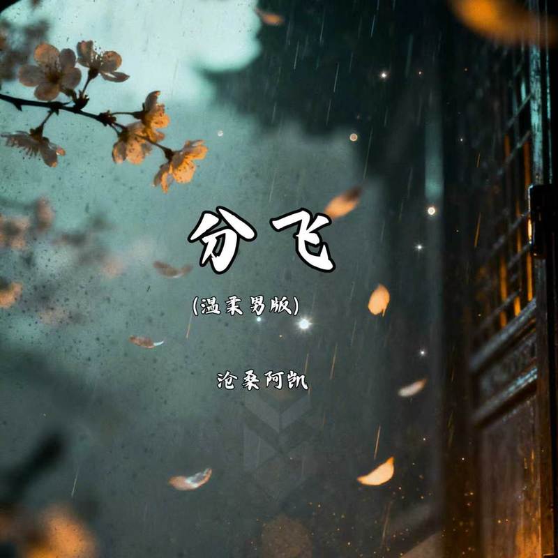 分飞封面