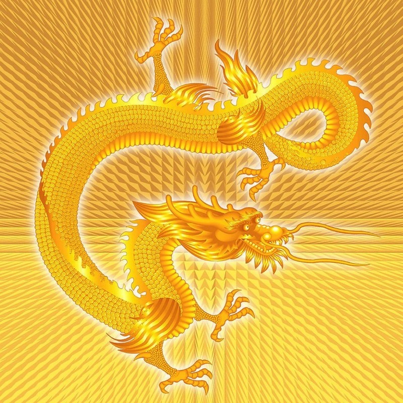 庄子封面