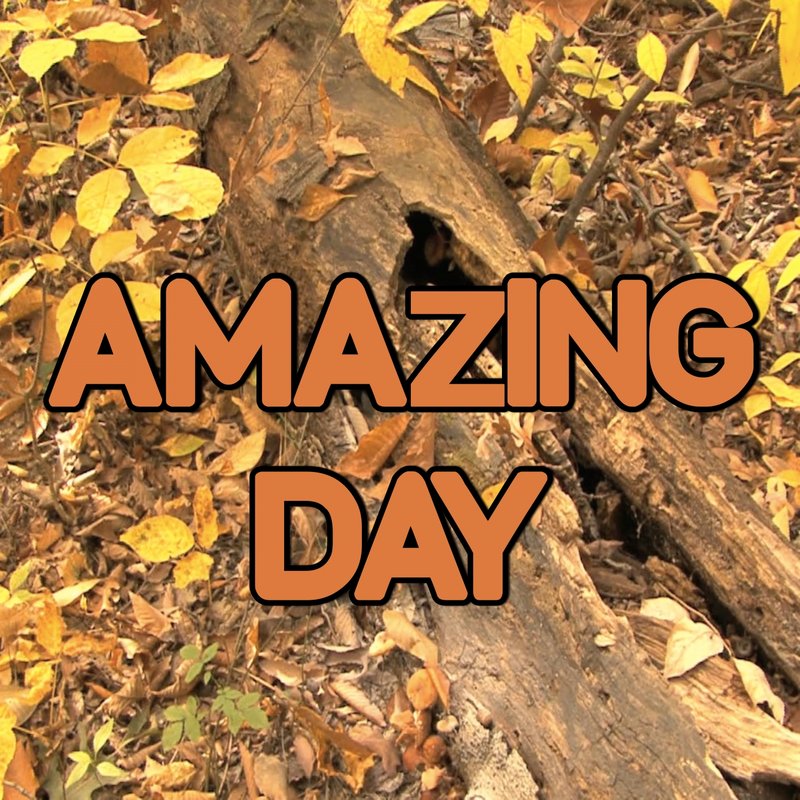 AmazingDay封面