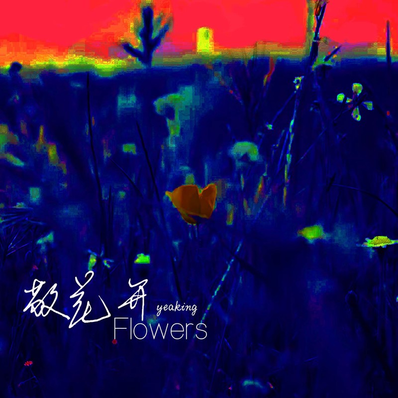 敬花开封面