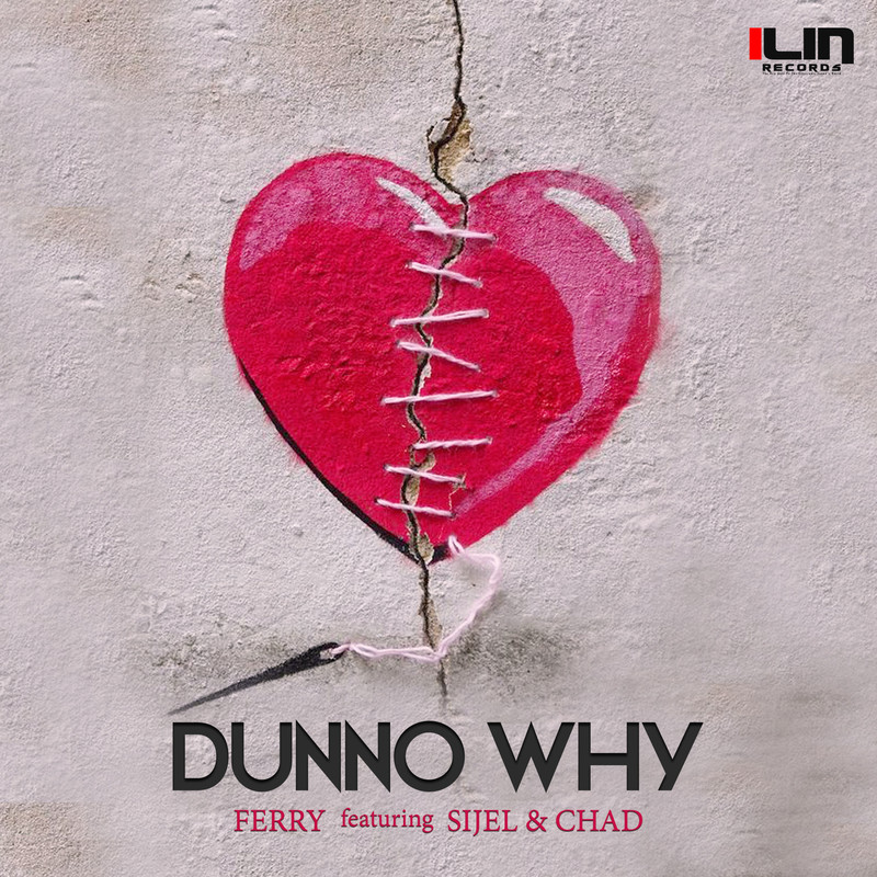 DunnoWhy封面