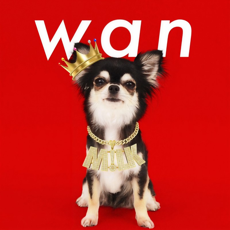 wan封面