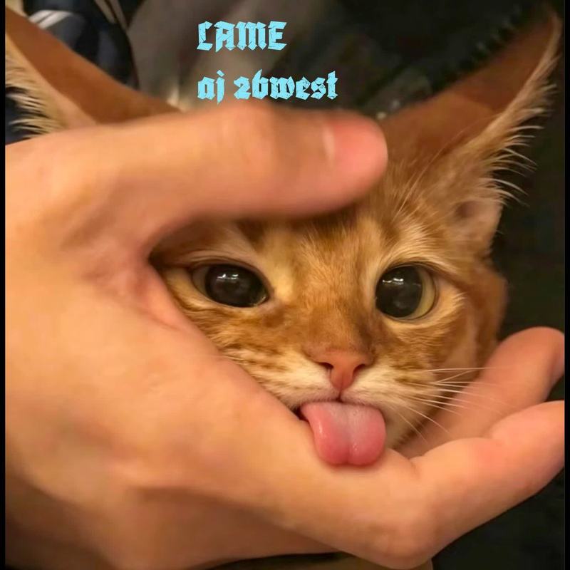 LAME封面