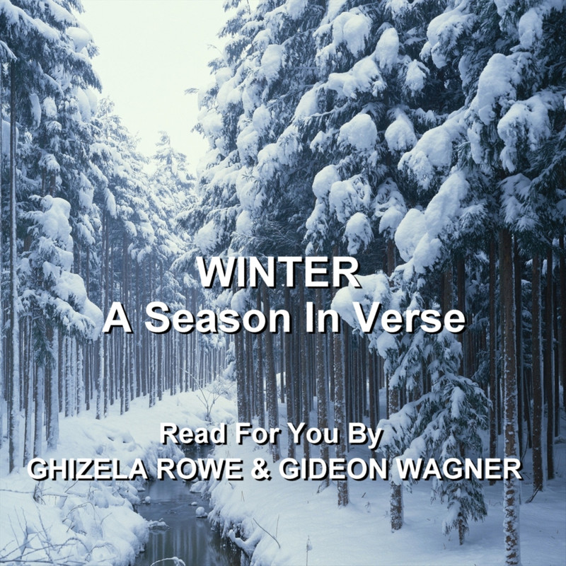 SomeTooFragileForWinterWindsByEmilyDickinson封面