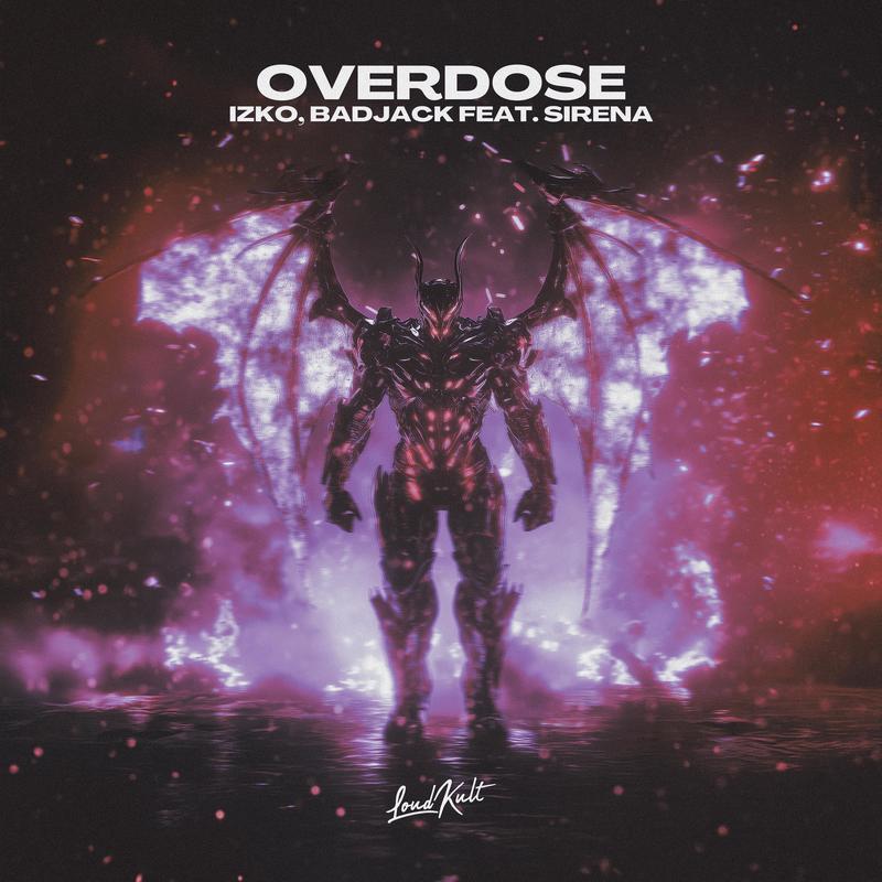 Overdose封面