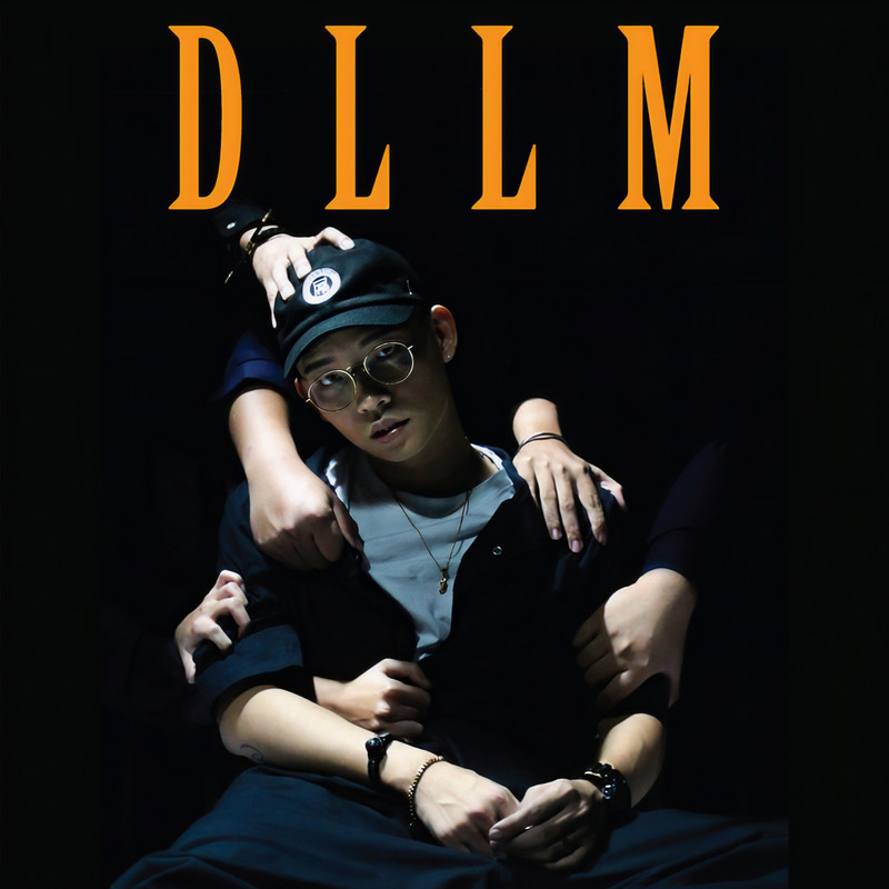 DLLM封面