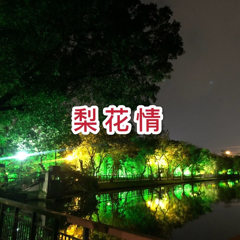 梨花情封面