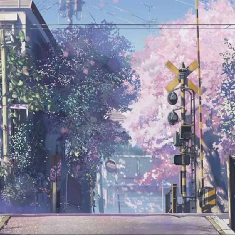 hisohkah封面