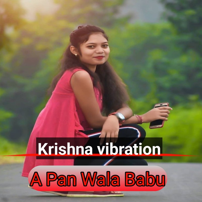 APanWalaBabu封面