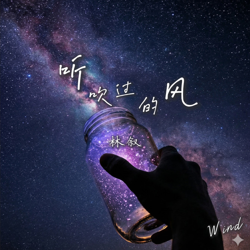 听吹过的风封面