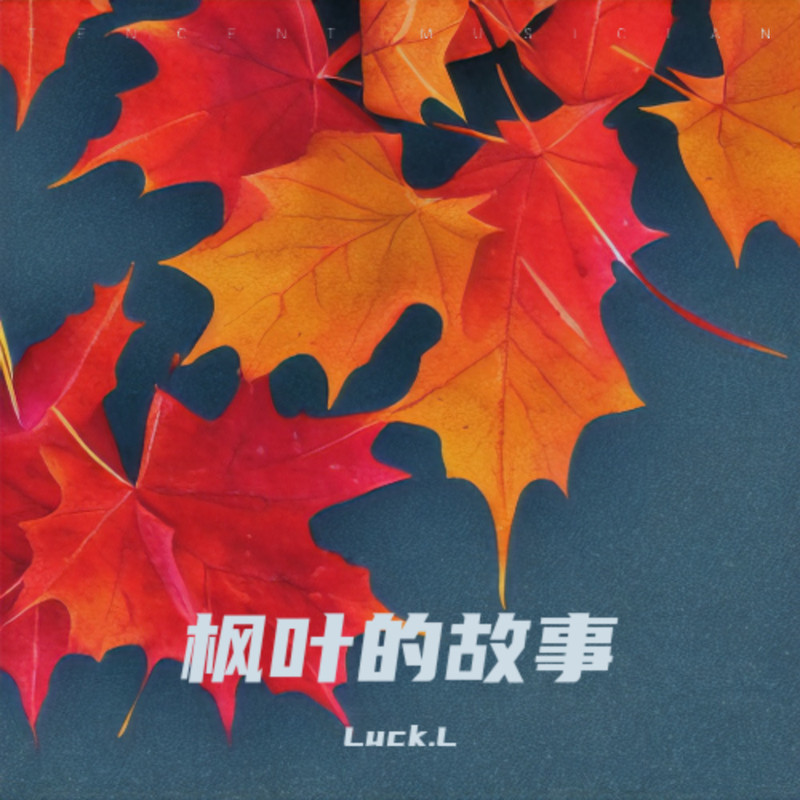 泡着枫叶封面