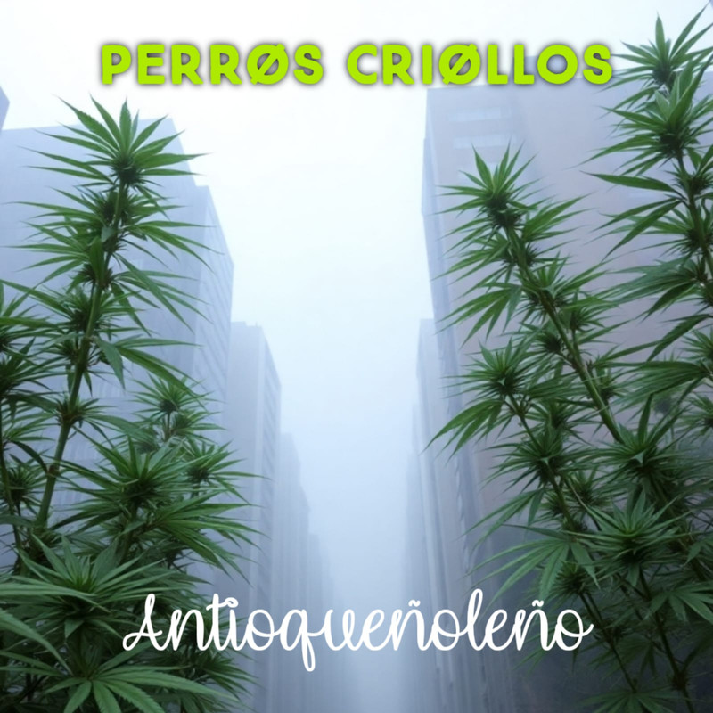 Perroscriollos封面