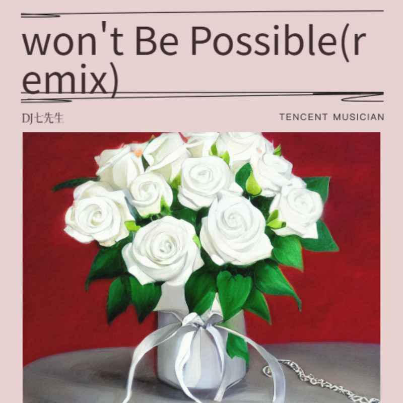 won'tBePossible封面