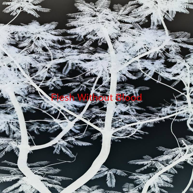 FleshWithoutBlood封面