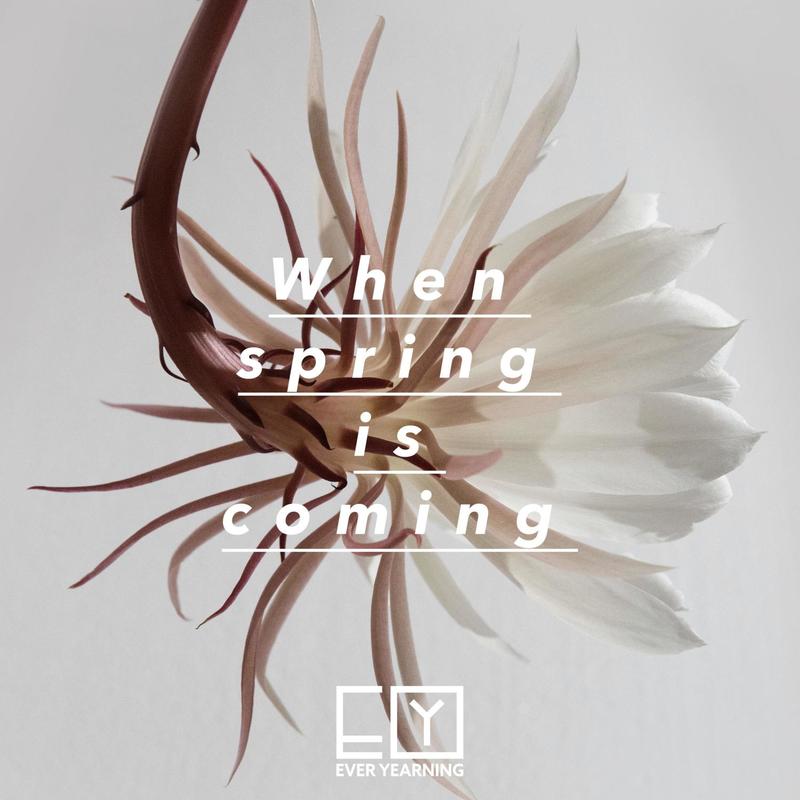 WhenSpringIsComing封面