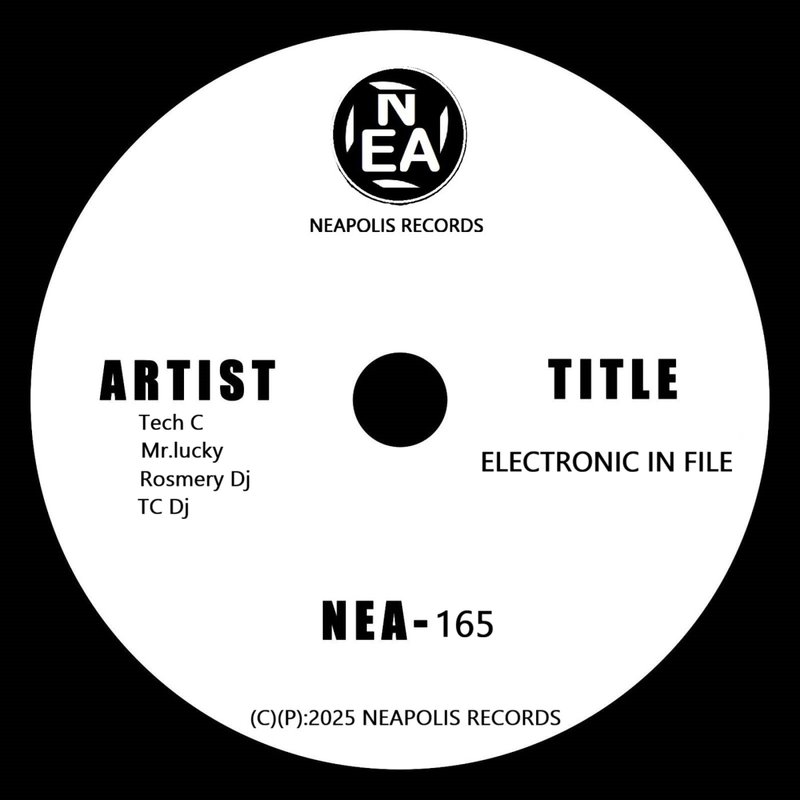 ElectronicInFile封面