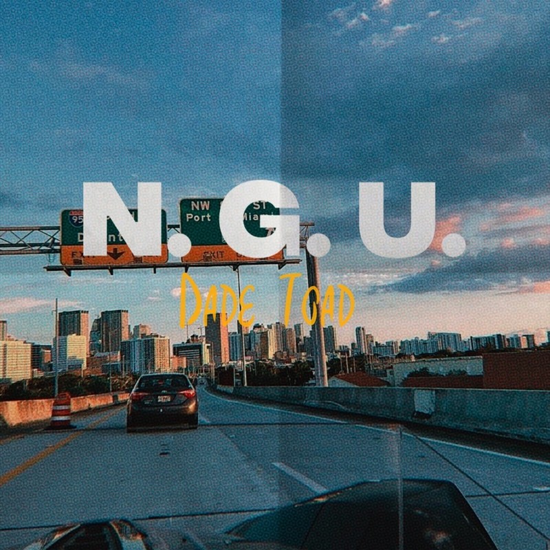 NGU封面