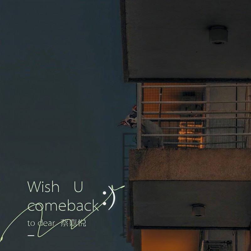 Wishucomeback封面