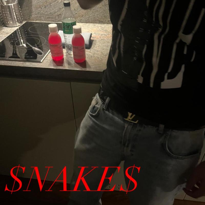 SNAKES(Explicit)封面
