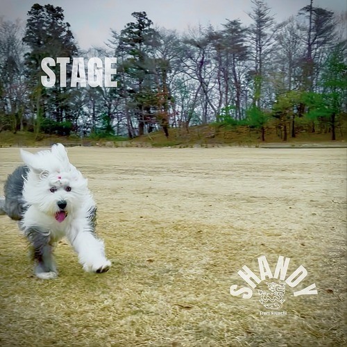 STAGE封面