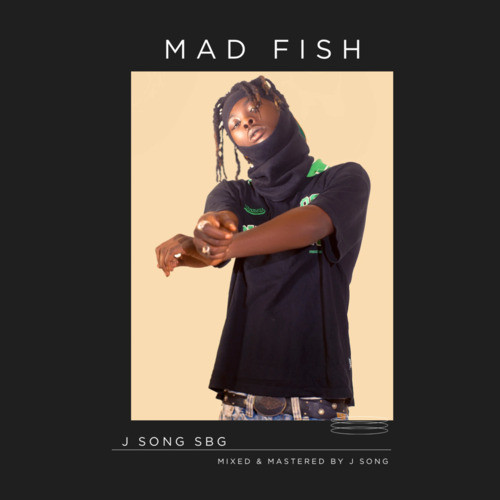 Madfish封面