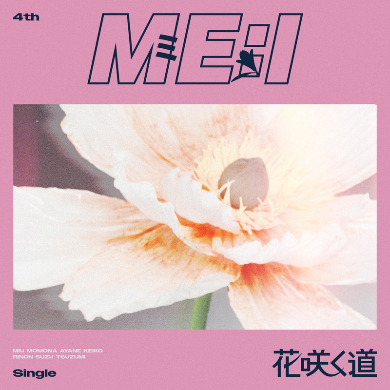 FLUTE封面