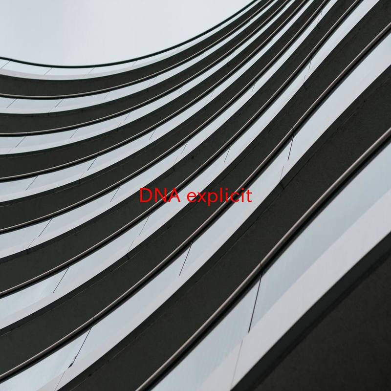 DNA封面