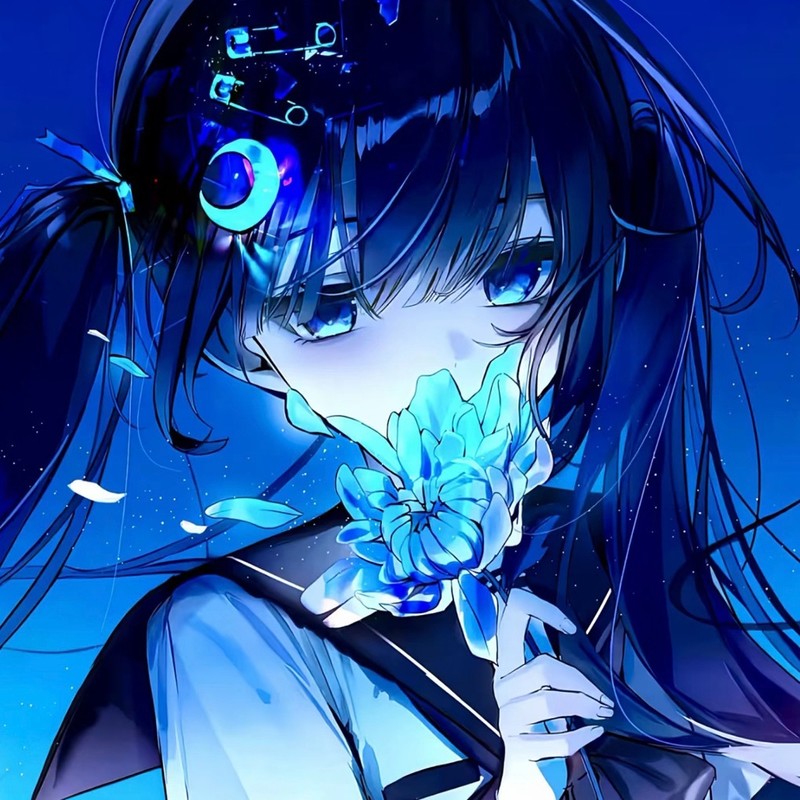 Week封面
