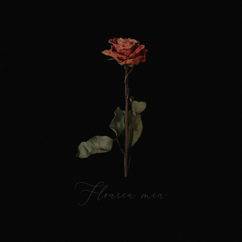 Floareamea封面