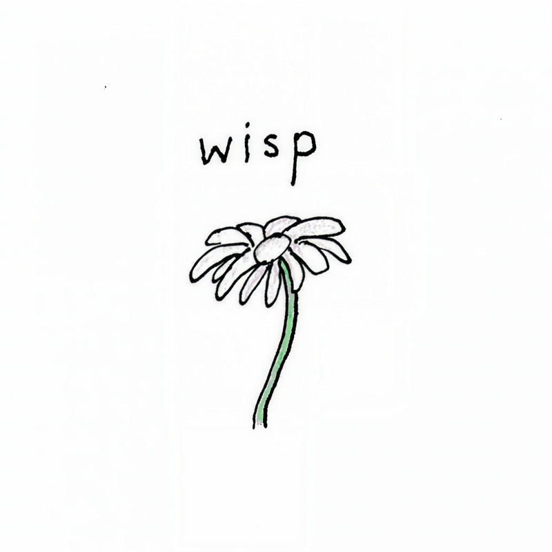 Wisp封面