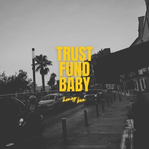 TRUSTFUNDBABY封面