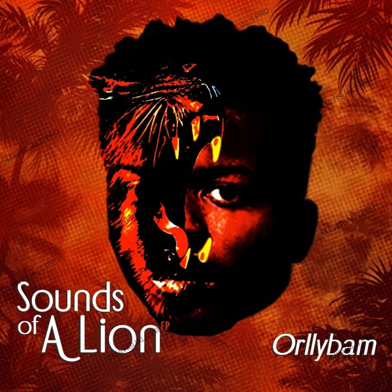LionSound封面