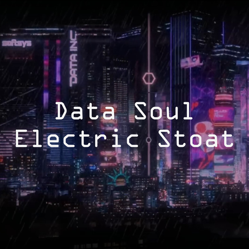 DataSoul封面