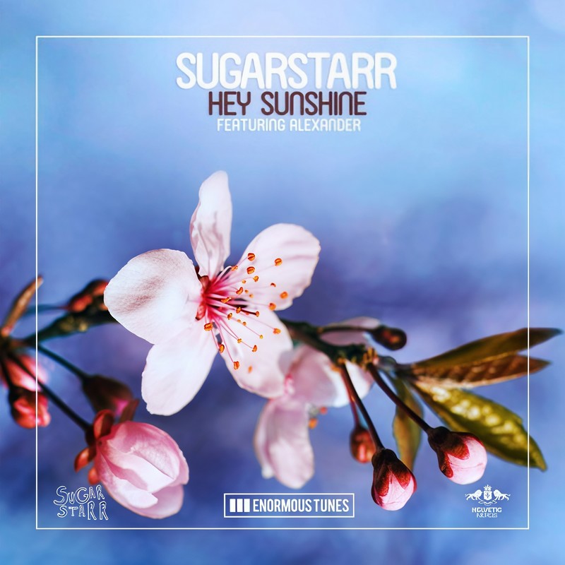 HeySunshine封面