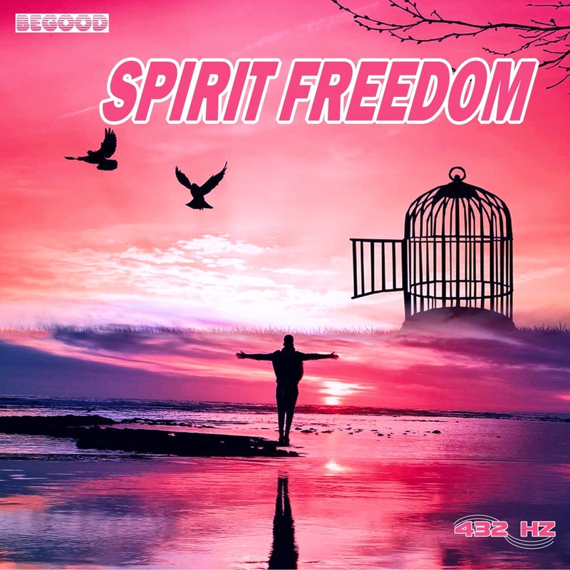 SpiritFreedomPhase9封面