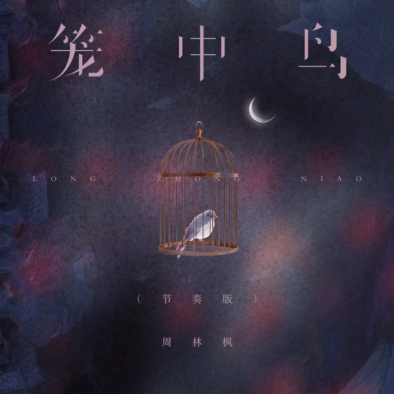 笼中鸟封面