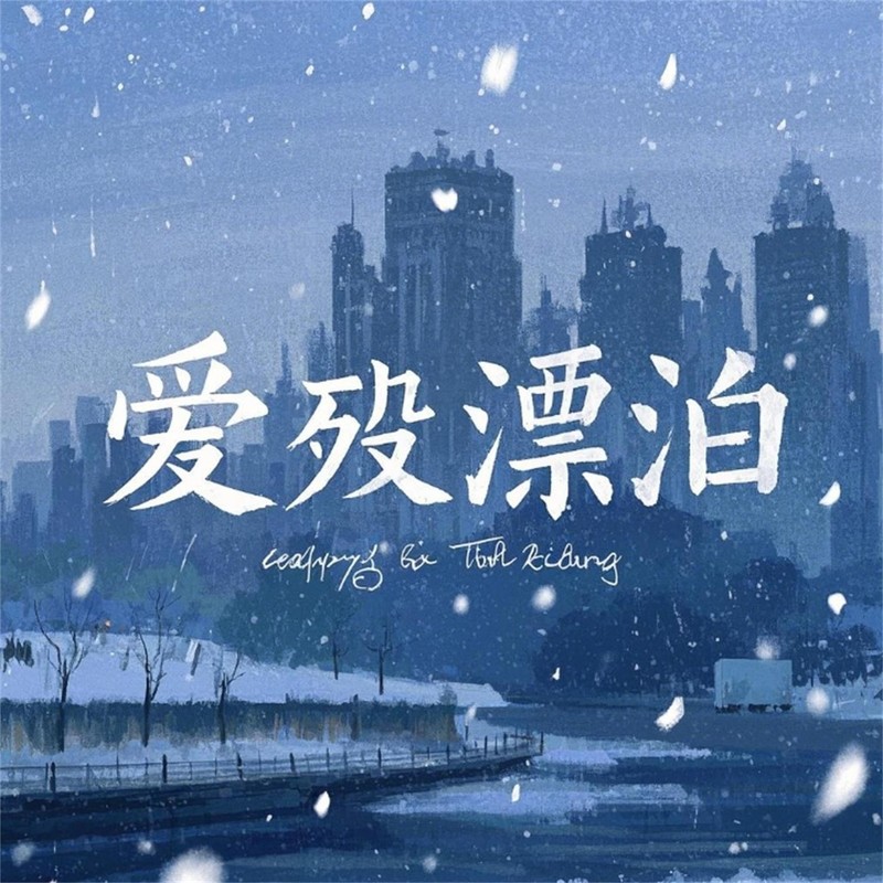 寂静之声封面